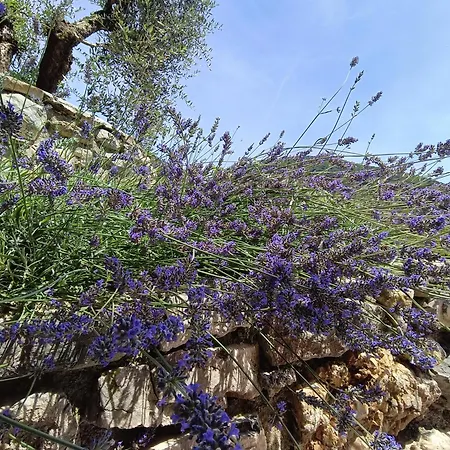 Κατάλυμα σε φάρμα Cascina Lert *